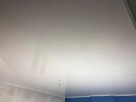 128898683_175888097536128_7592489920702788290_n